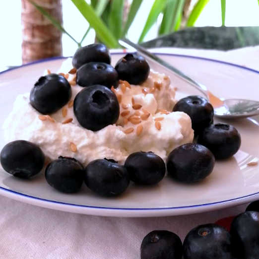 Greek yogurt with blueberries My Diet Meal Plan